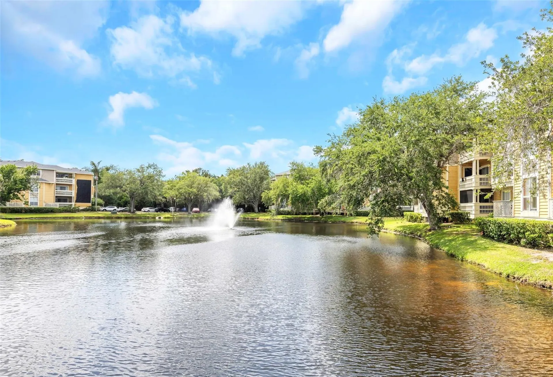 115 112th Avenue NE St Petersburg FL 33716