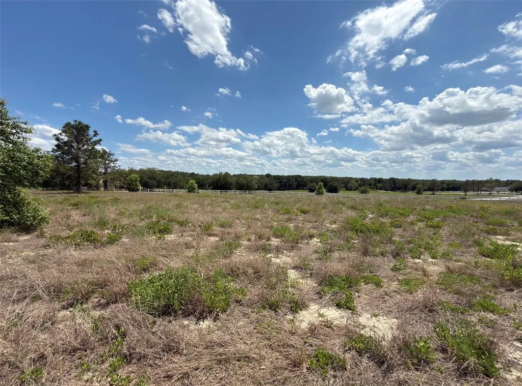 6115 Ranch Lake Road Groveland FL 34736