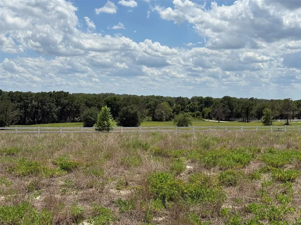 6115 Ranch Lake Road Groveland FL 34736