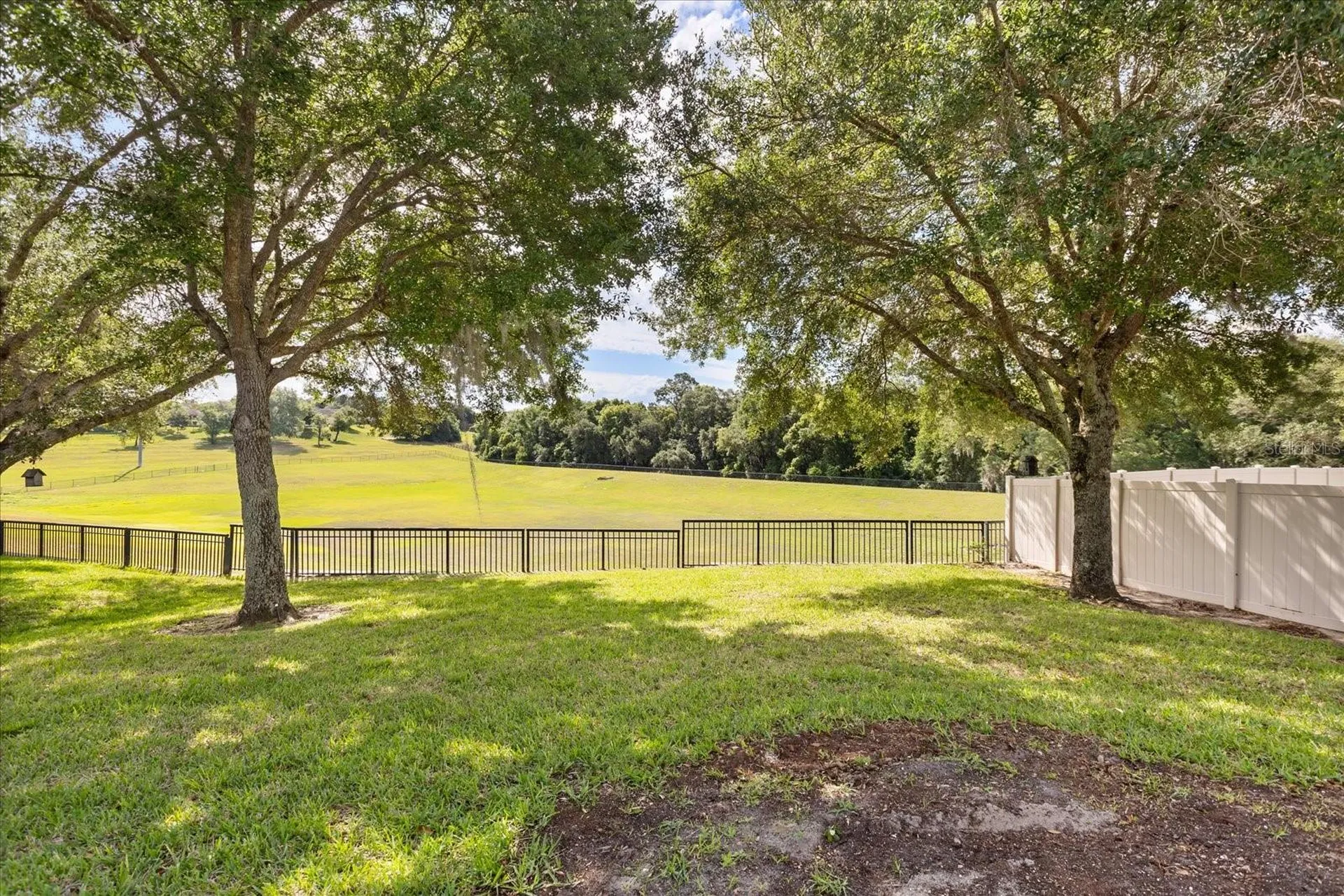20934 Sullivan Ranch Boulevard Mount Dora FL 32757