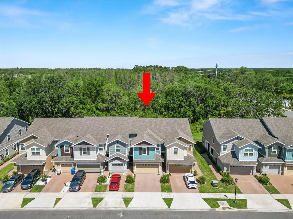 34187 Cinder Way Wesley Chapel FL 33545