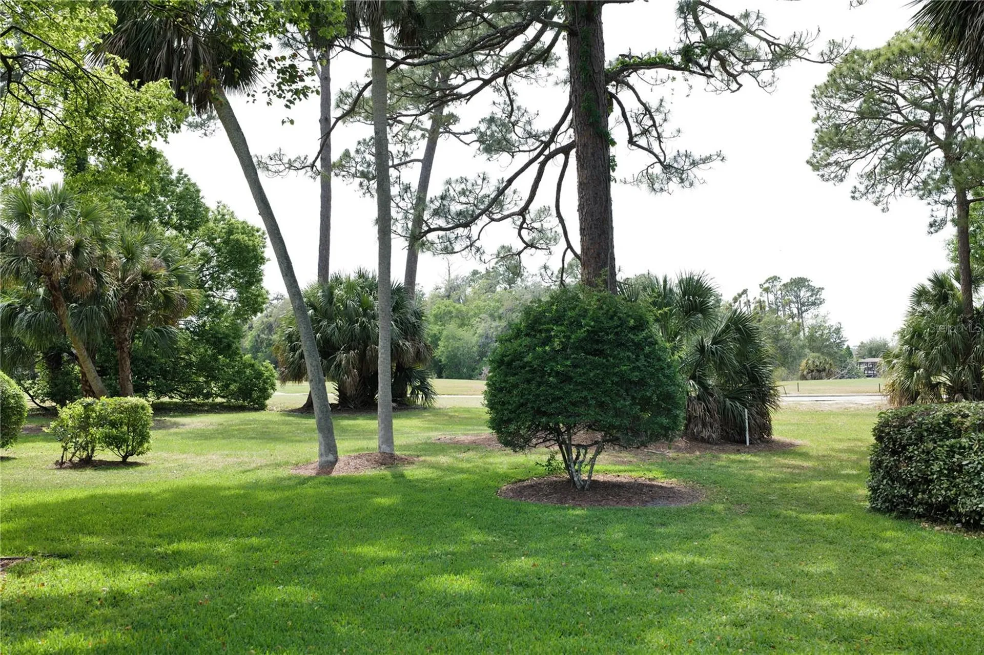 15 Cole Place Palm Coast FL 32137