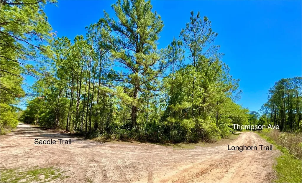 125 Saddle Trail Interlachen FL 32148