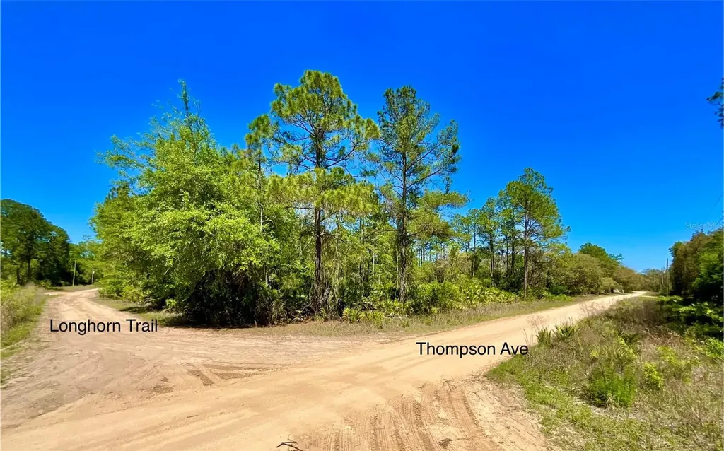 125 Saddle Trail Interlachen FL 32148
