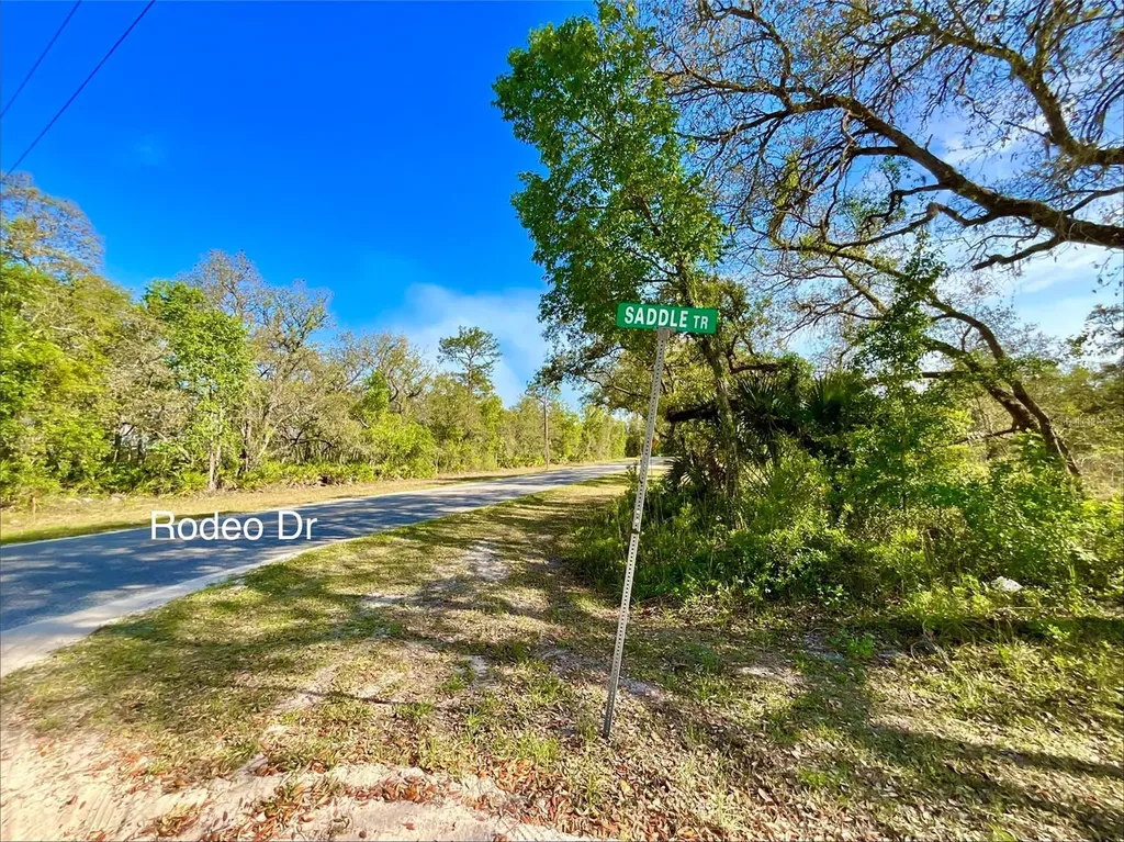 125 Saddle Trail Interlachen FL 32148