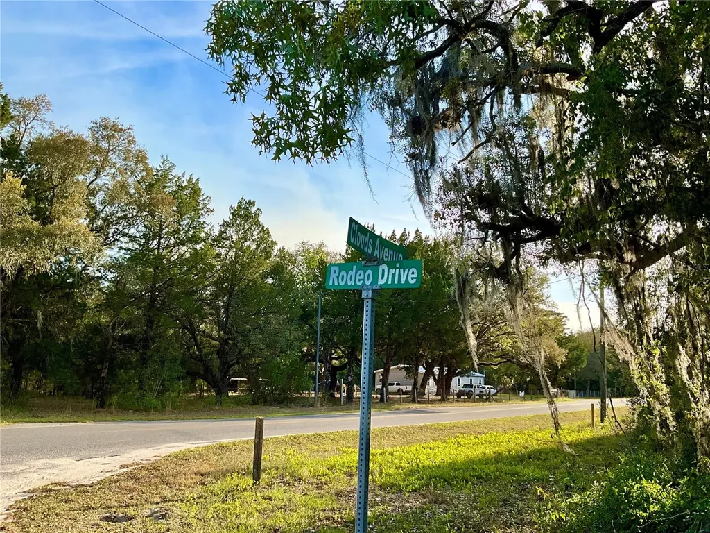 125 Saddle Trail Interlachen FL 32148