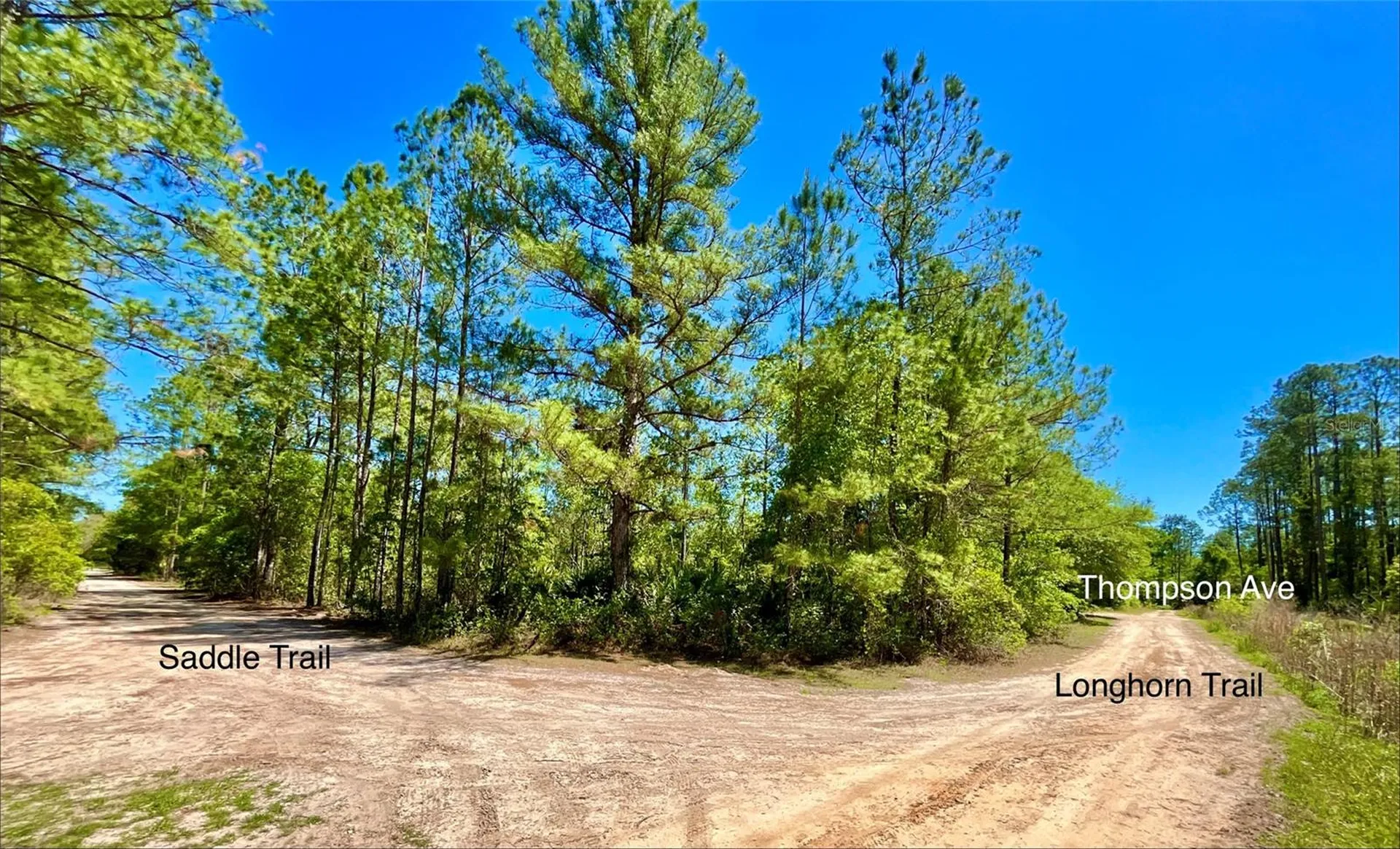 125 Saddle Trail Interlachen FL 32148