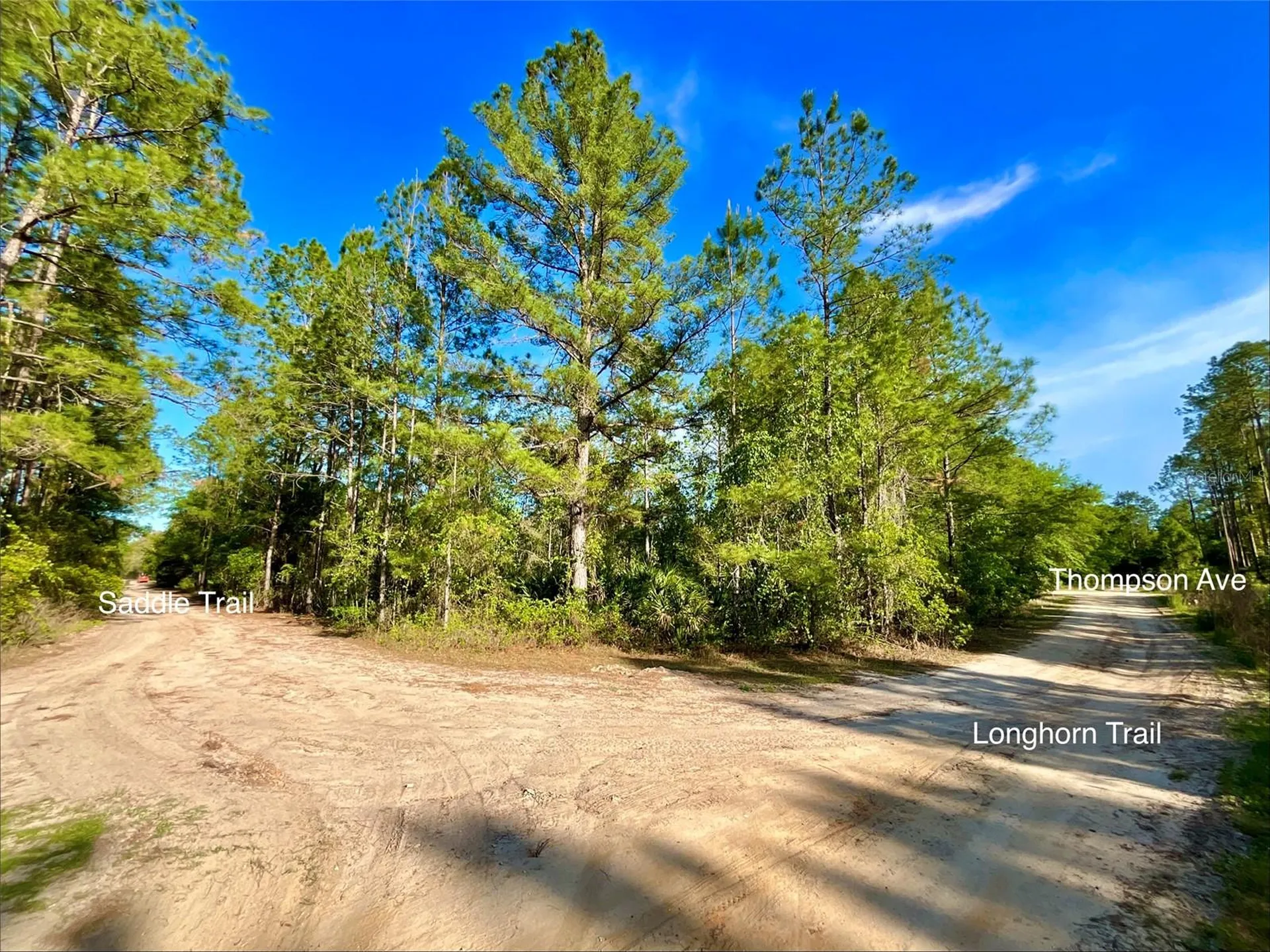 125 Saddle Trail Interlachen FL 32148