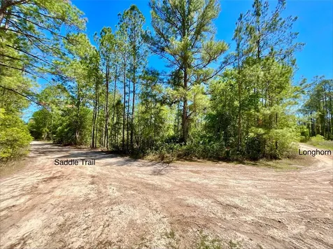 125 Saddle Trail Interlachen FL 32148