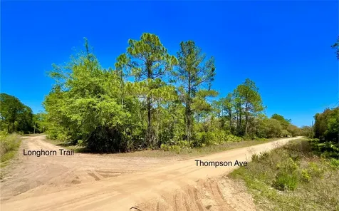 125 Saddle Trail Interlachen FL 32148