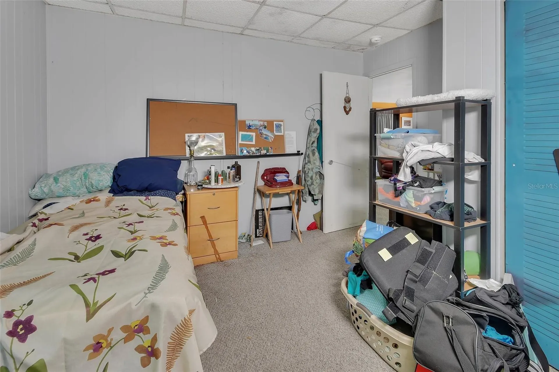 25801 Blue Lakes Drive Paisley FL 32767