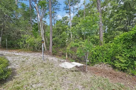 25801 Blue Lakes Drive Paisley FL 32767
