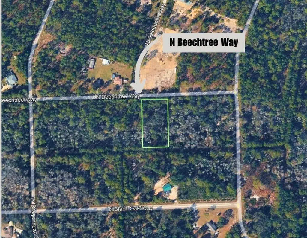 9421 N Beechtree Way Crystal River FL 34428