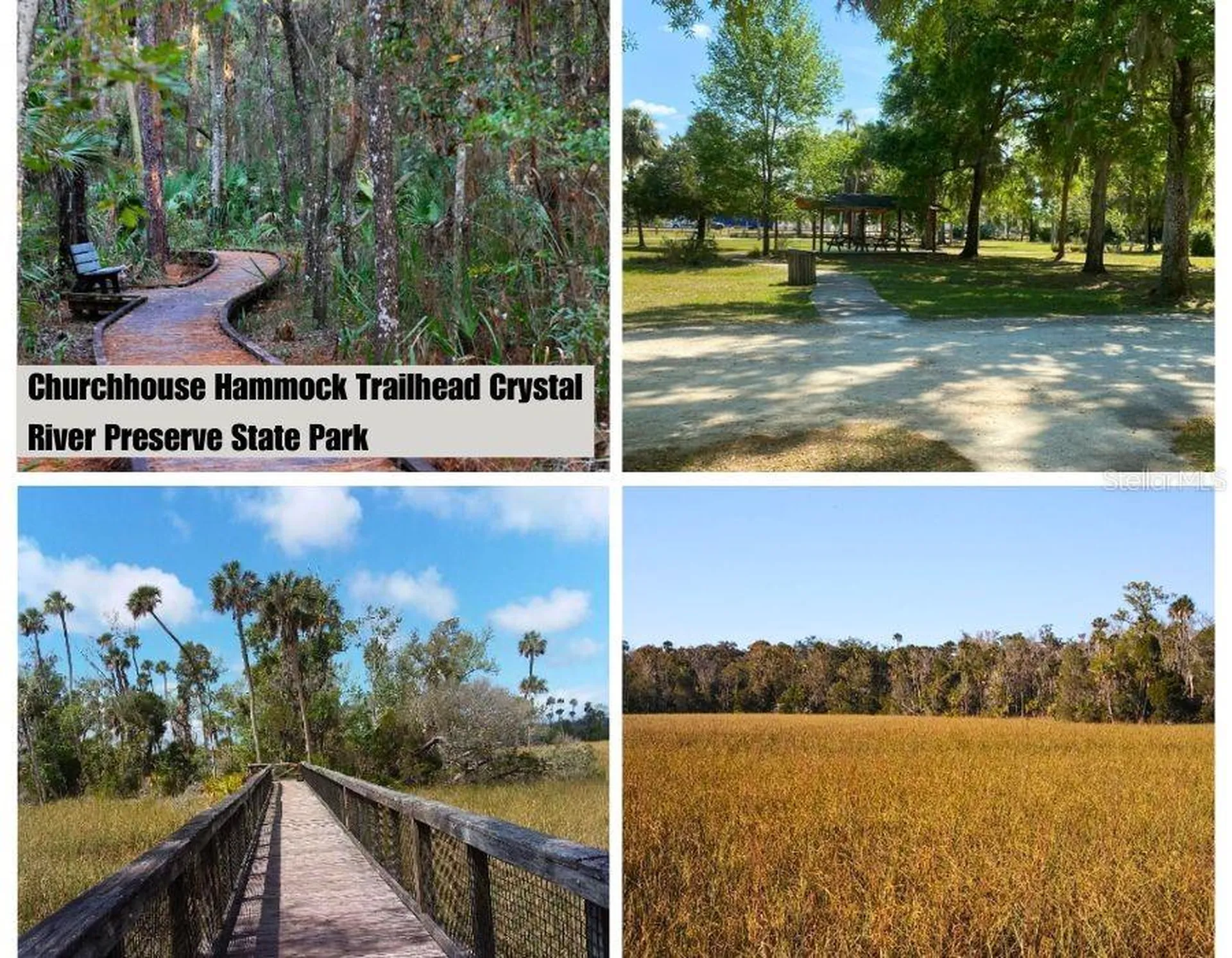 9421 N Beechtree Way Crystal River FL 34428