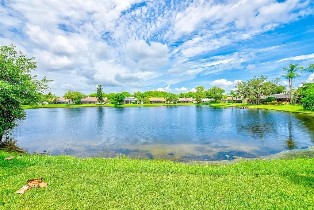 6517 Thoroughbred Loop Odessa FL 33556