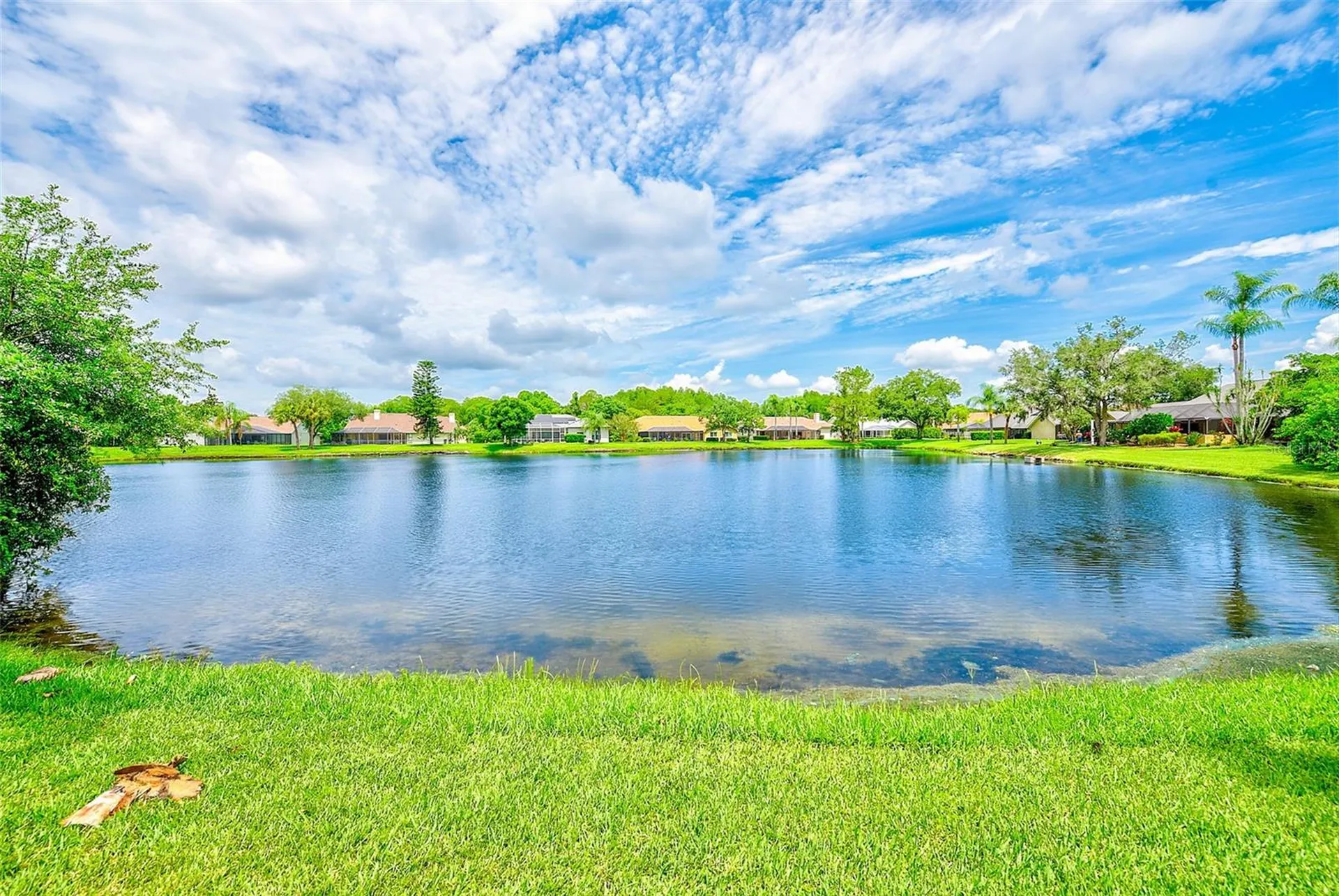 6517 Thoroughbred Loop Odessa FL 33556
