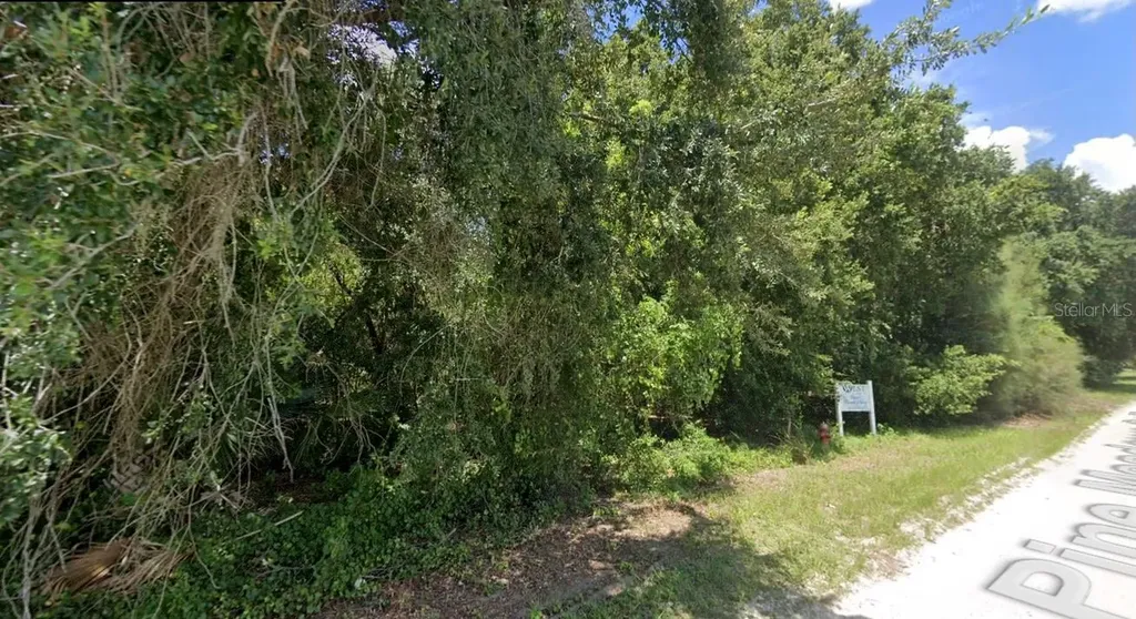Pine Meadows Road Eustis FL 32726