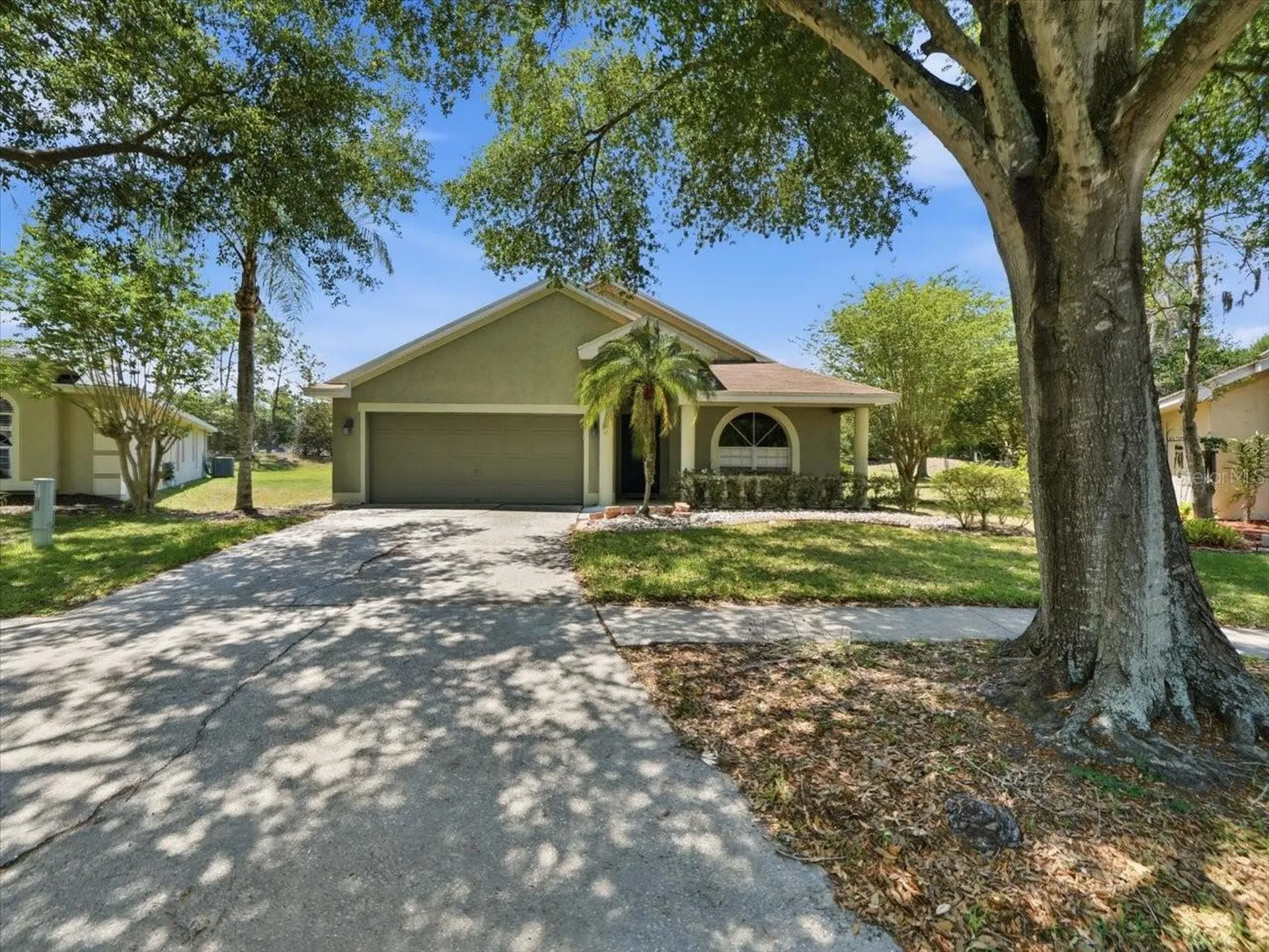 4528 Wild Plum Lane Lutz FL 33558