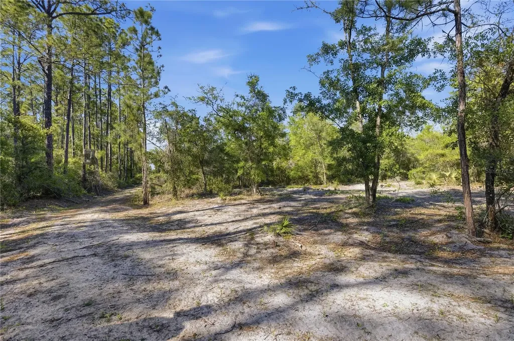 Tbd NE 125th Avenue Fort Mc Coy FL 32134