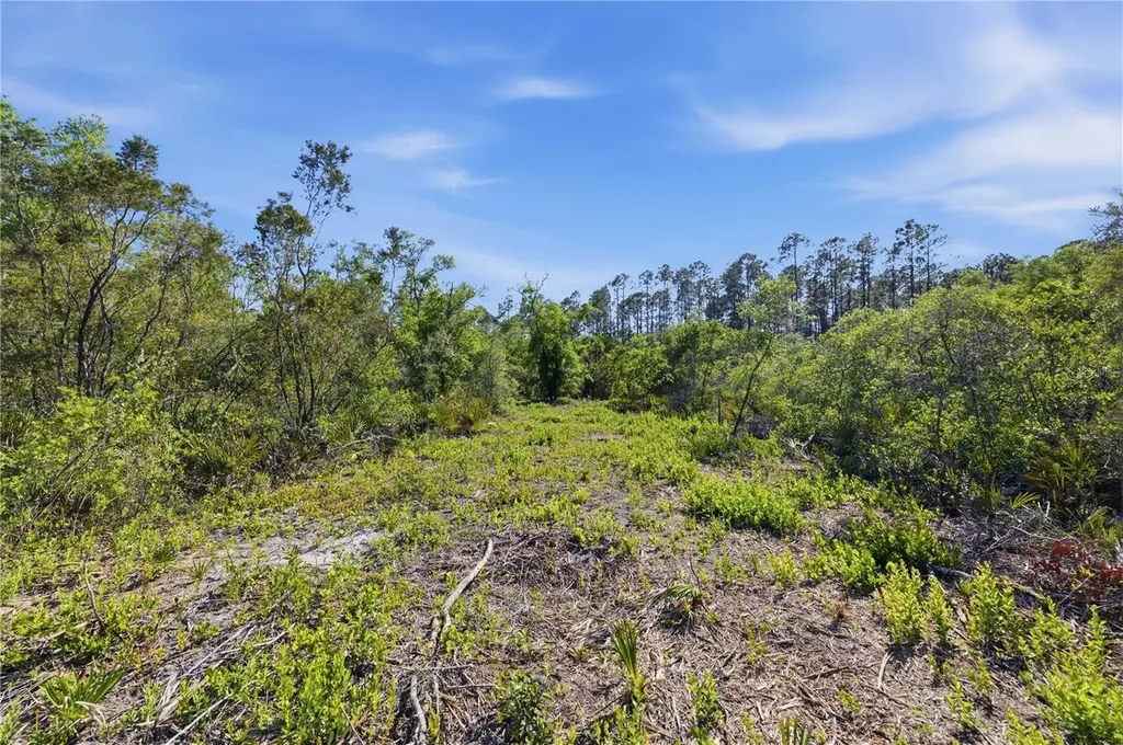Tbd NE 125th Avenue Fort Mc Coy FL 32134