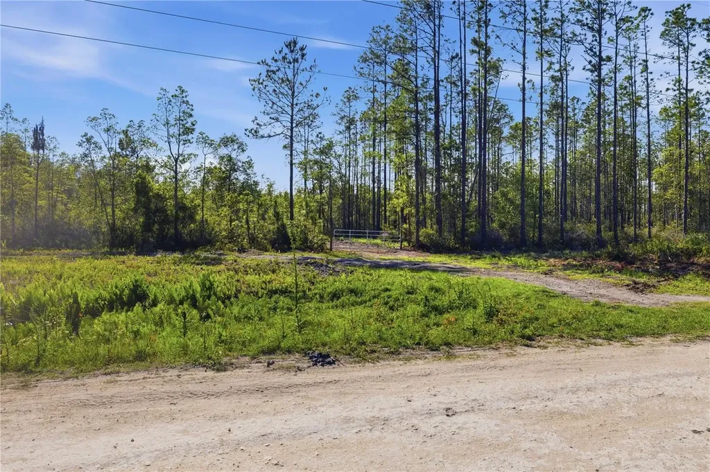 Tbd NE 125th Avenue Fort Mc Coy FL 32134