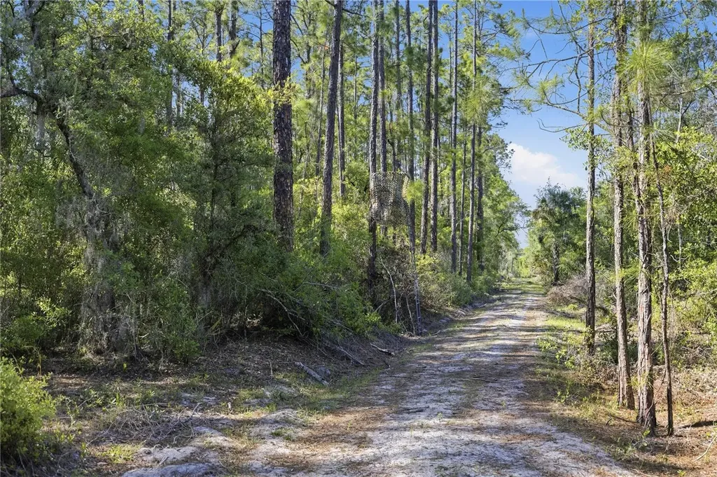 Tbd NE 125th Avenue Fort Mc Coy FL 32134