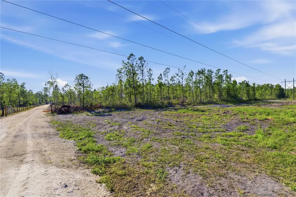 Tbd NE 125th Avenue Fort Mc Coy FL 32134