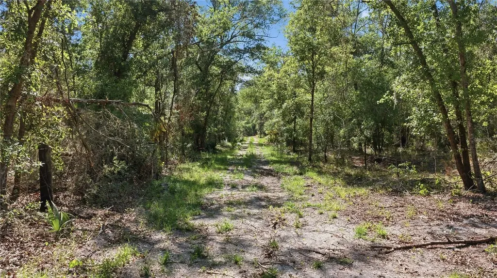 Tbd NE 125th Avenue Fort Mc Coy FL 32134