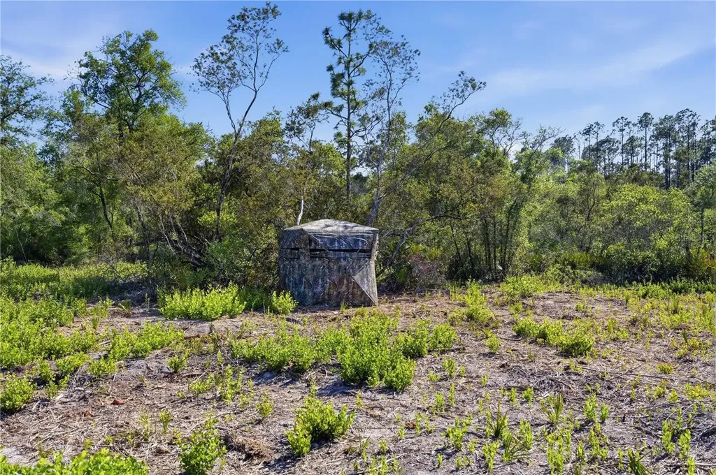 Tbd NE 125th Avenue Fort Mc Coy FL 32134