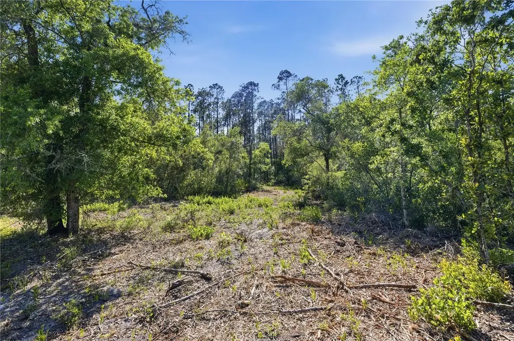 Tbd NE 125th Avenue Fort Mc Coy FL 32134