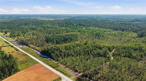 Tbd NE 125th Avenue Fort Mc Coy FL 32134