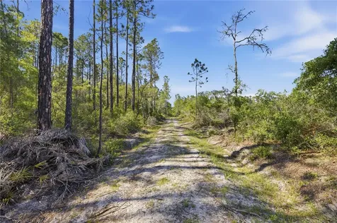 Tbd NE 125th Avenue Fort Mc Coy FL 32134
