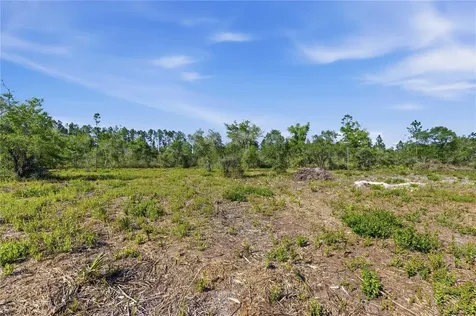 Tbd NE 125th Avenue Fort Mc Coy FL 32134