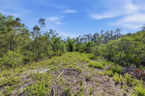 Tbd NE 125th Avenue Fort Mc Coy FL 32134