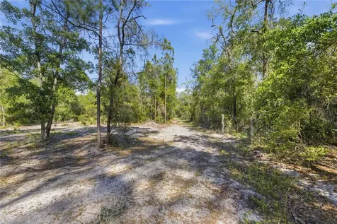 Tbd NE 125th Avenue Fort Mc Coy FL 32134