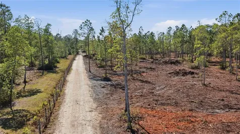 Tbd NE 125th Avenue Fort Mc Coy FL 32134