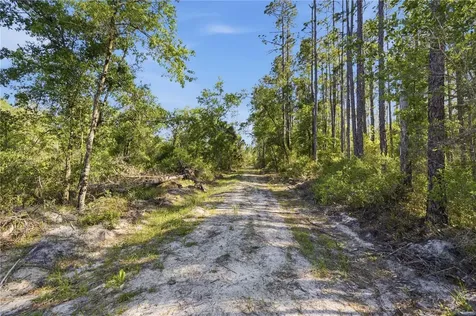 Tbd NE 125th Avenue Fort Mc Coy FL 32134