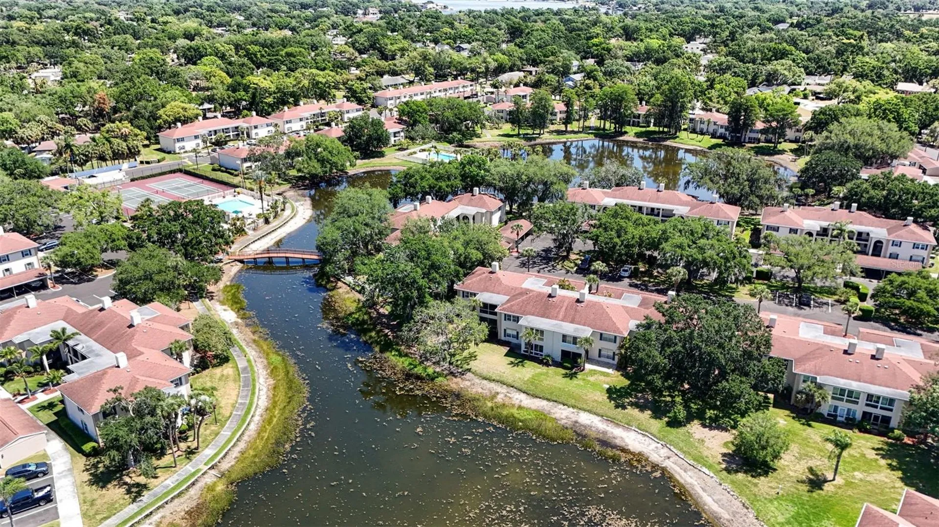 10346 Carrollwood Lane Tampa FL 33618