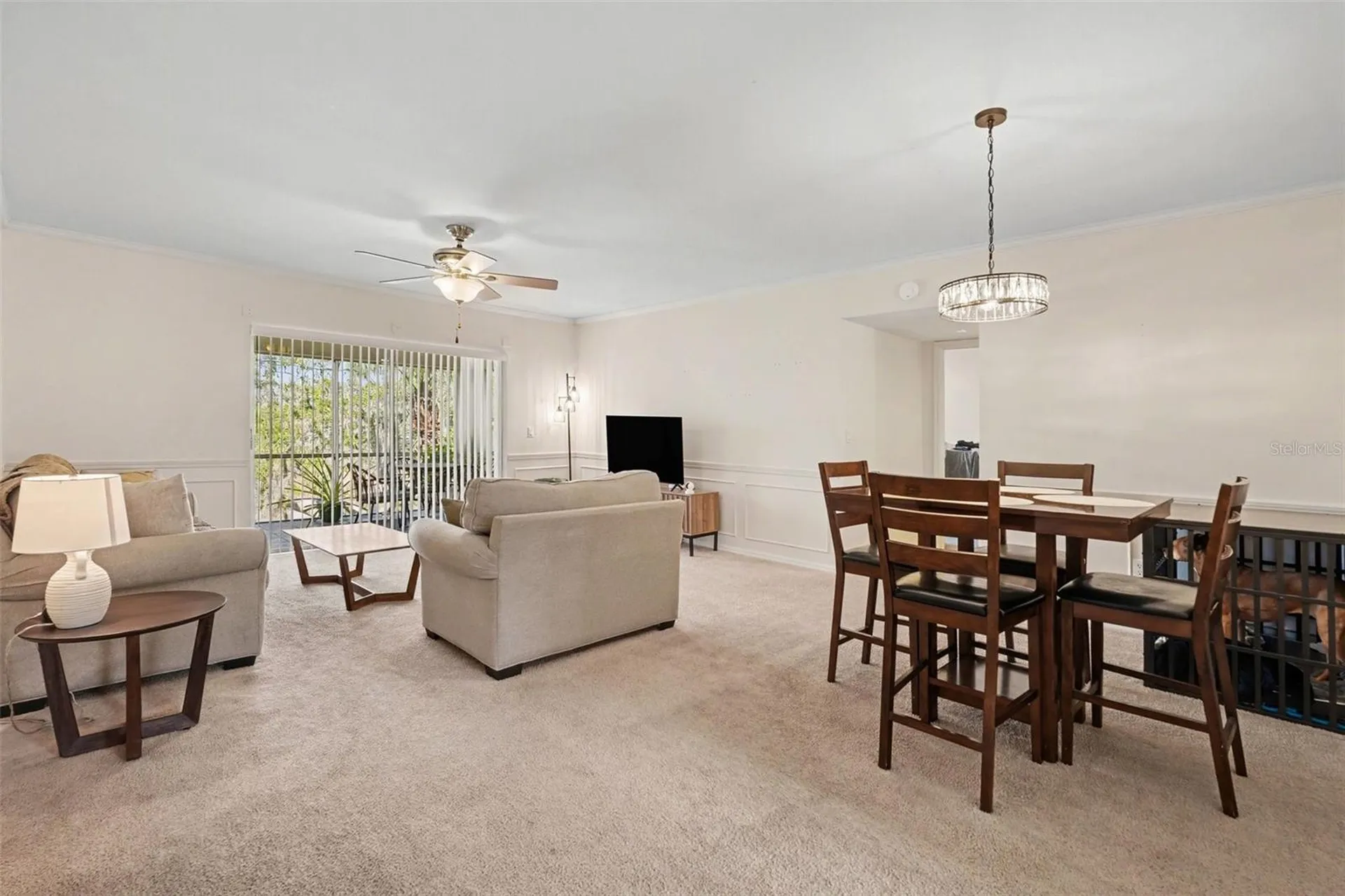 10346 Carrollwood Lane Tampa FL 33618