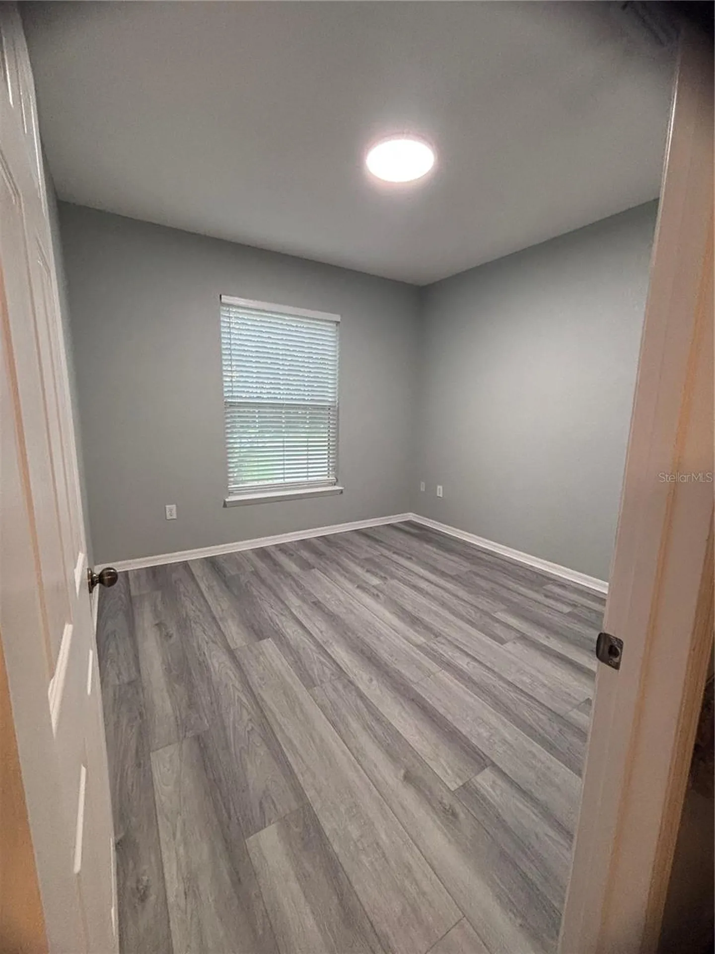 2406 Courtney Meadows Court Tampa FL 33619