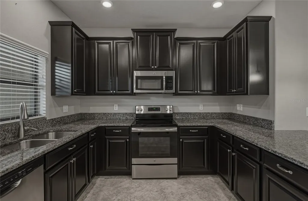 28647 Tranquil Lake Circle Wesley Chapel FL 33543