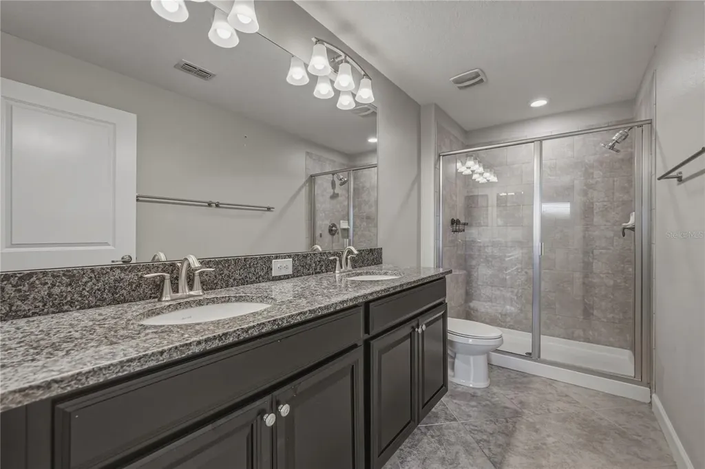 28647 Tranquil Lake Circle Wesley Chapel FL 33543