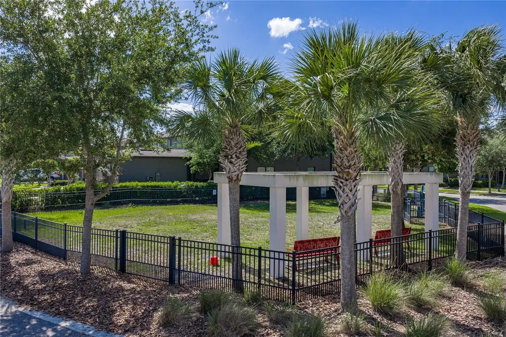 28647 Tranquil Lake Circle Wesley Chapel FL 33543