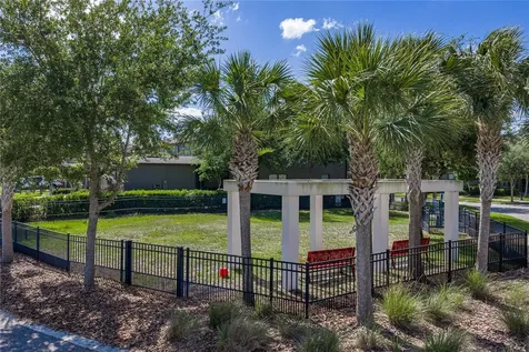 28647 Tranquil Lake Circle Wesley Chapel FL 33543
