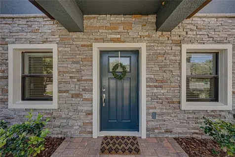 28647 Tranquil Lake Circle Wesley Chapel FL 33543