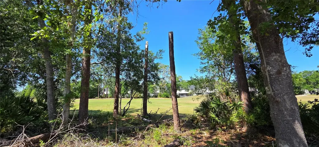 5352 Camberlea Avenue Zephyrhills FL 33541