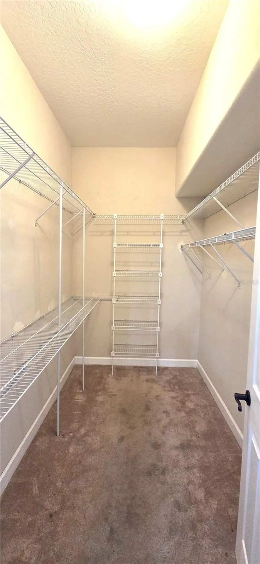5352 Camberlea Avenue Zephyrhills FL 33541