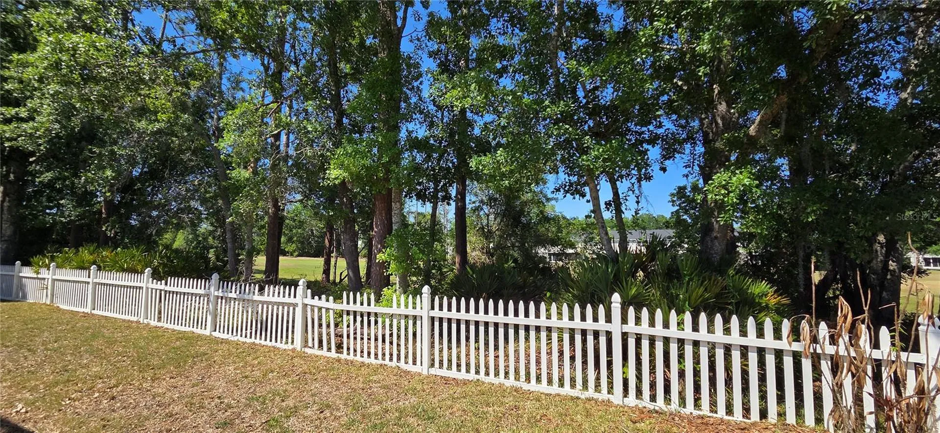 5352 Camberlea Avenue Zephyrhills FL 33541