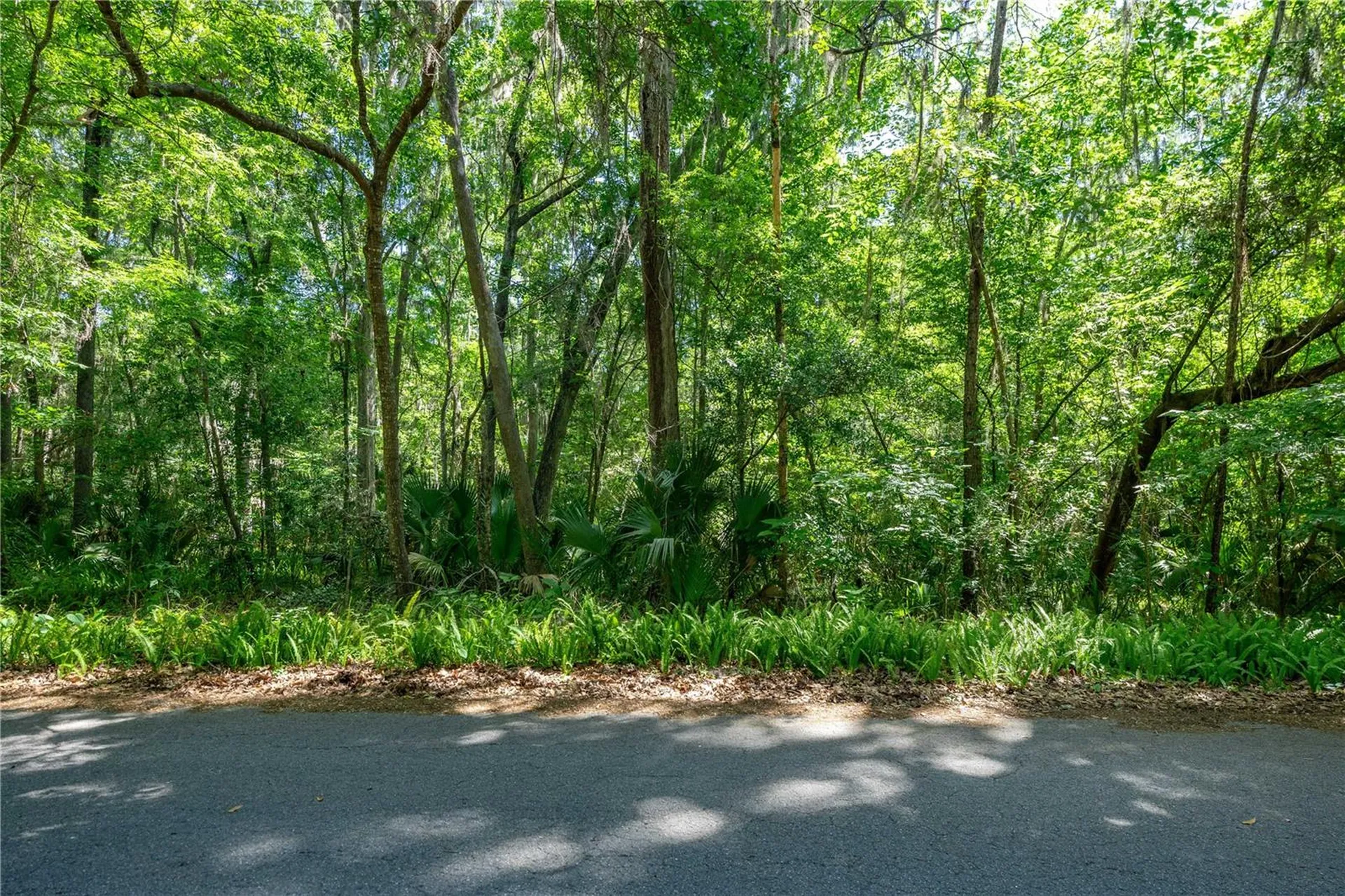SW 45th Street Ocala FL 34471