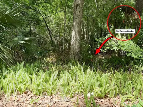 SW 45th Street Ocala FL 34471